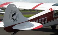 Husky emblem on tail